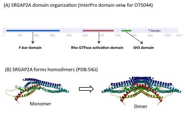 FIgure3.jpg