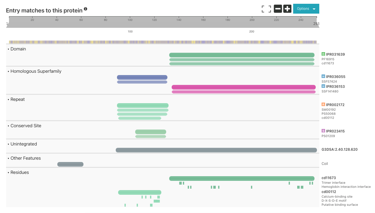 protein_viewer_residues.png